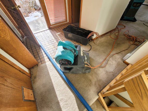 Best Carpet water damage restoration  in Brewster, OH