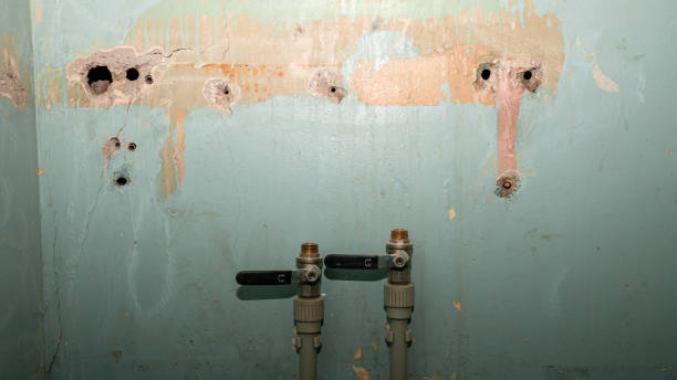 Best Water damage restoration insurance claims  in Brewster, OH