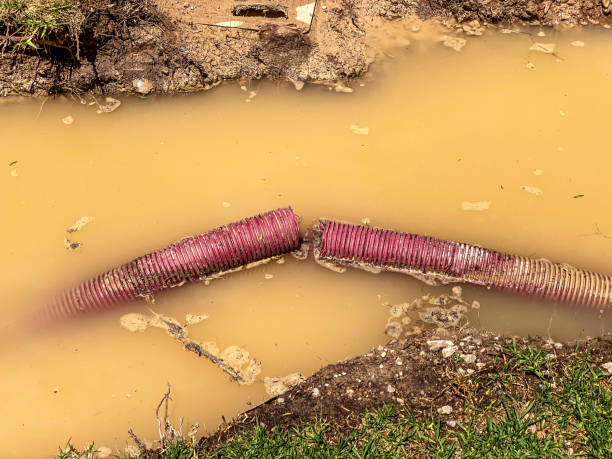 Best Sewage cleanup and water damage restoration  in Brewster, OH